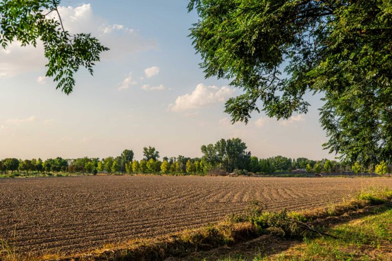 Ruta del Agua y las Colonias Agropecuarias