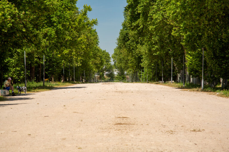 Calle de Coroneles