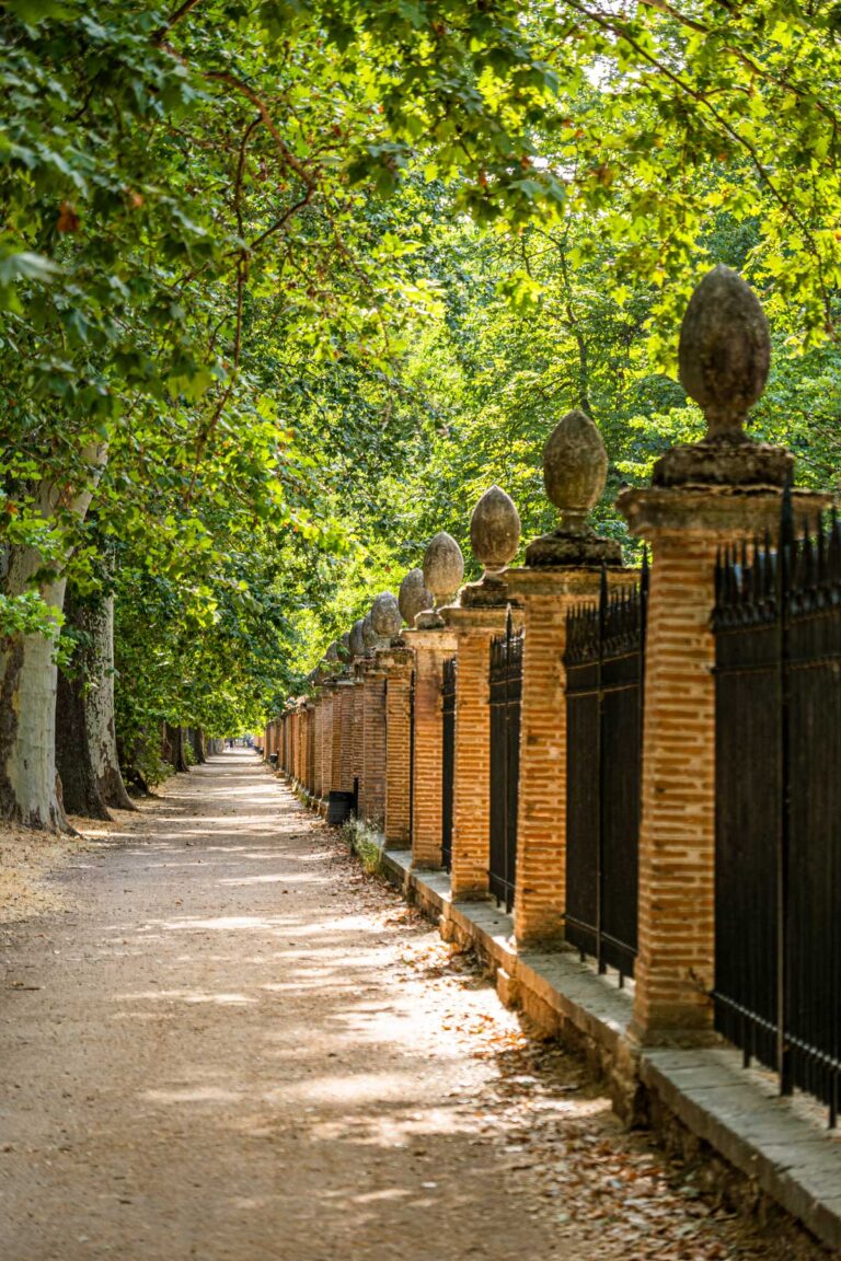 Calle de la Reina