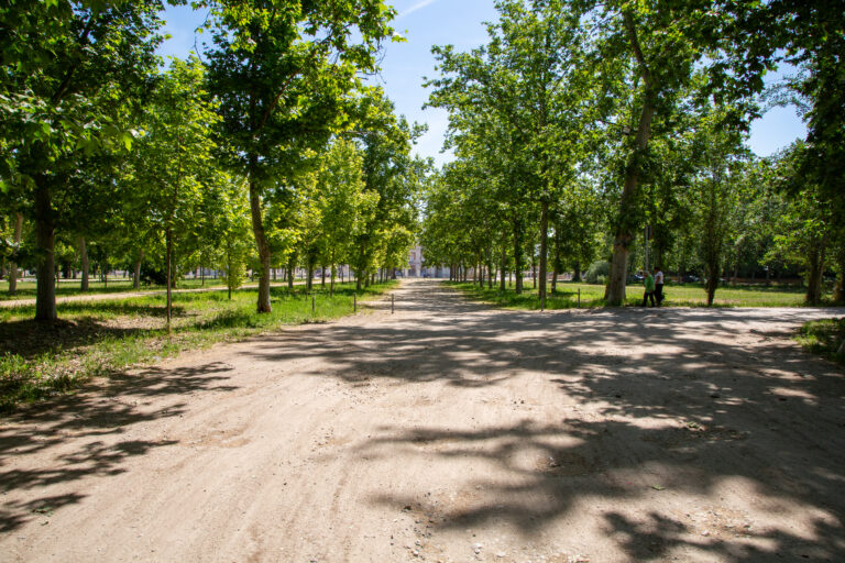 Calle de Guardias Walonas
