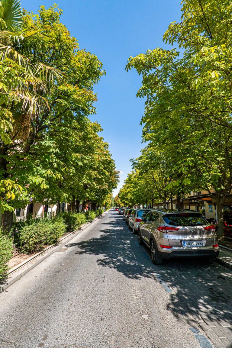 Ruta de la Ciudad Cortesana