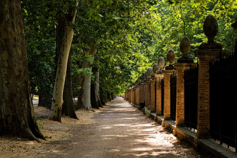 Ruta de los Ilustres Visitantes