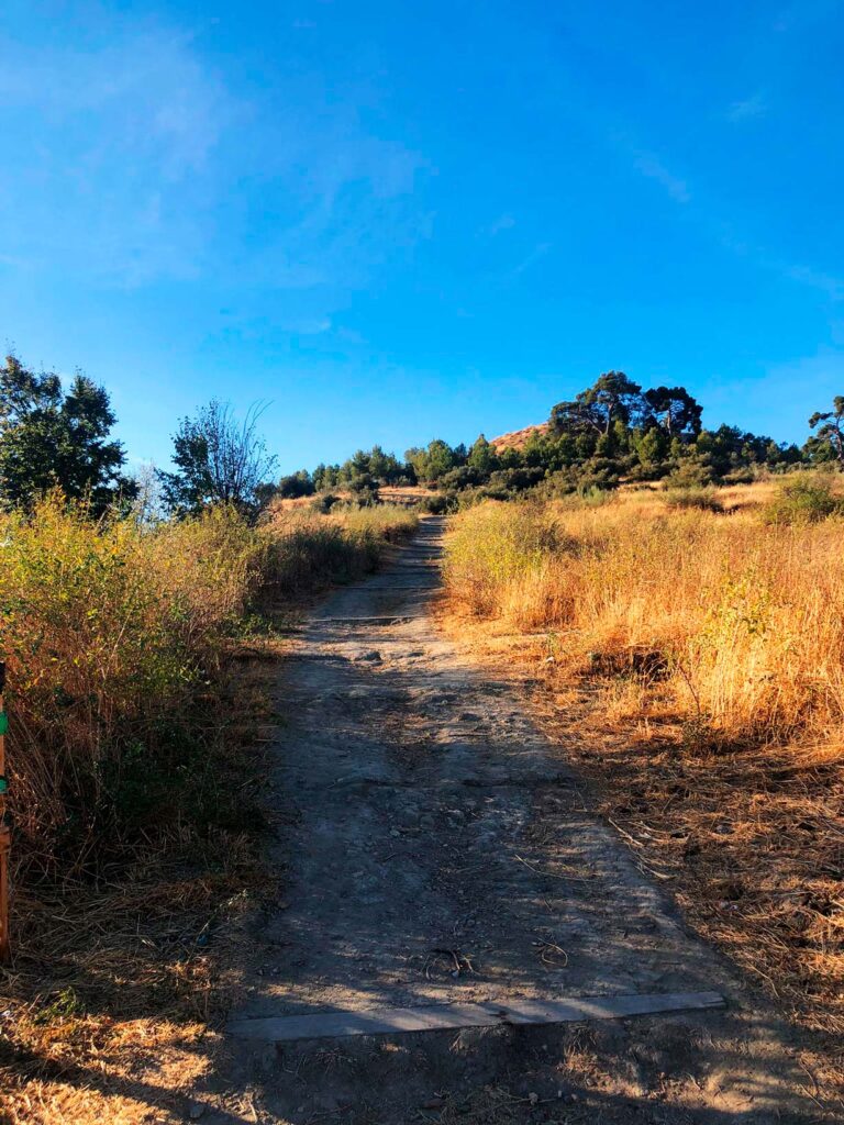 Ruta de los Miradores