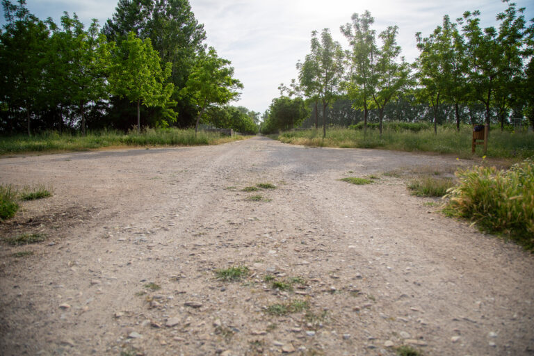 Ruta del Picotajo y las Doce Calles