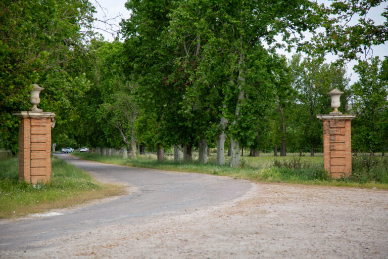 Ruta del Picotajo y las Doce Calles