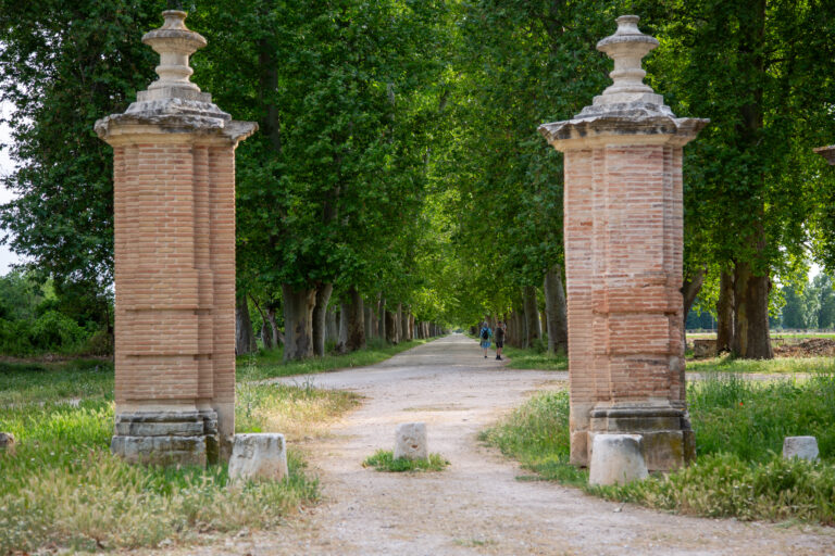Ruta del Picotajo y las Doce Calles