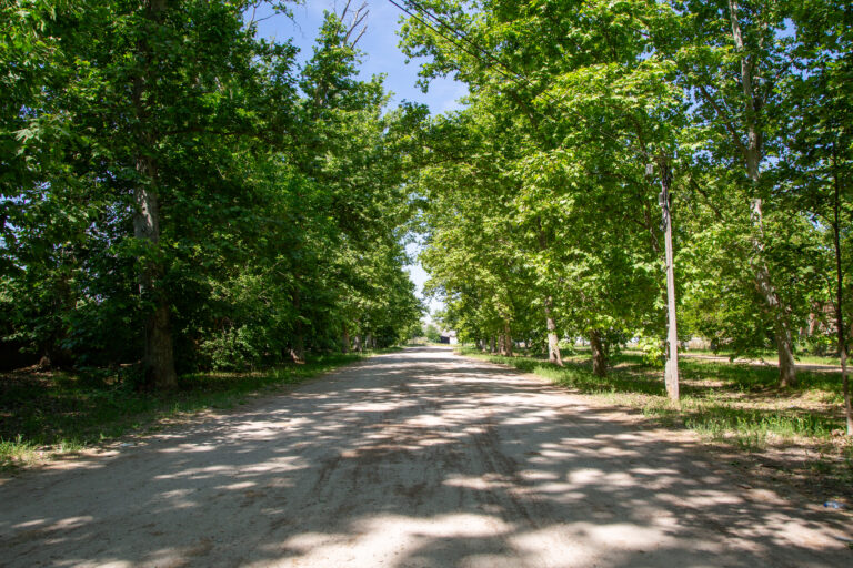 Ruta del Raso de la Estrella